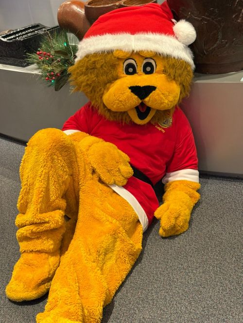 WhatsApp Image 2026-02-21 at 21.26.45