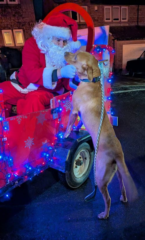 WhatsApp Image 2026-02-22 at 20.59.31 (5)